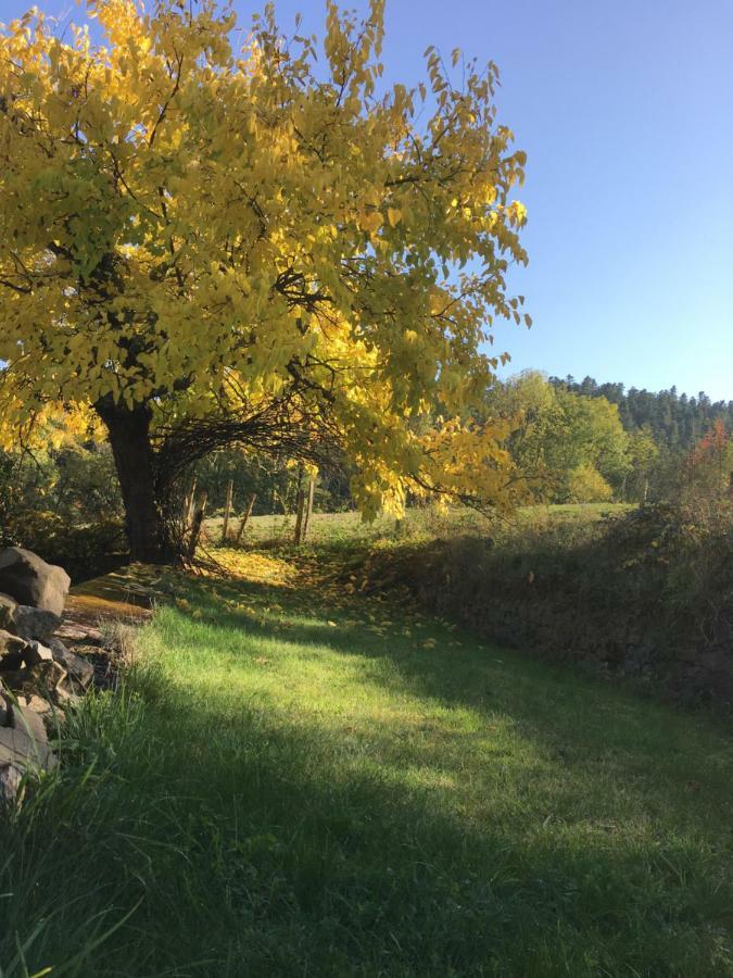 Le Chatel En Beaujolais Valsonne Eksteriør bilde
